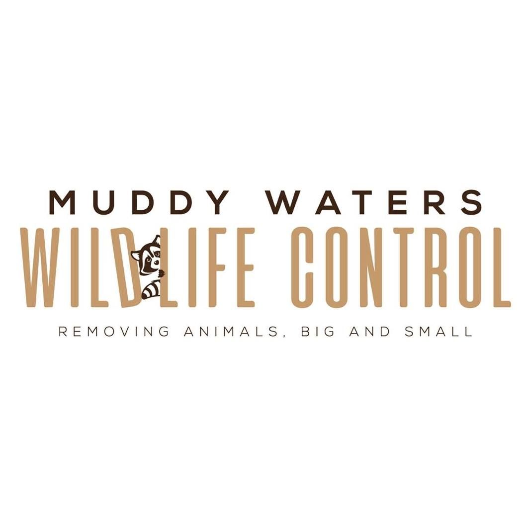 muddywaterswildlifecontrollogo2.jpg