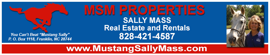 MSM Properties - Sally Mass - Franklin NC Real Estate