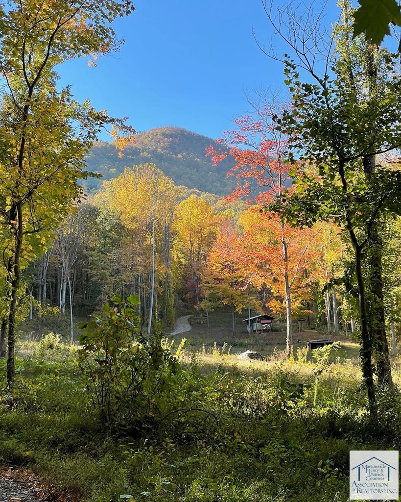 Meadow in Fall