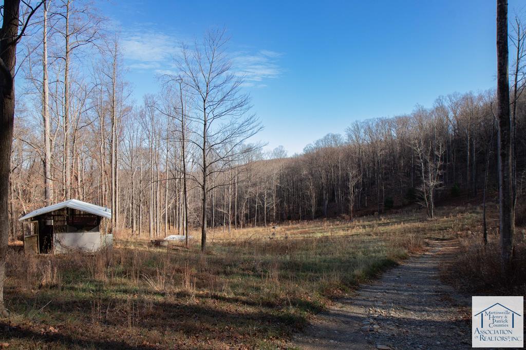 Meadow just beyond the Woodshop