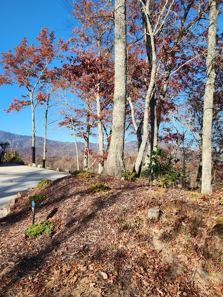 Adjacent Home parking pad