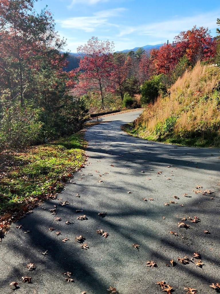 Driveway to lot 