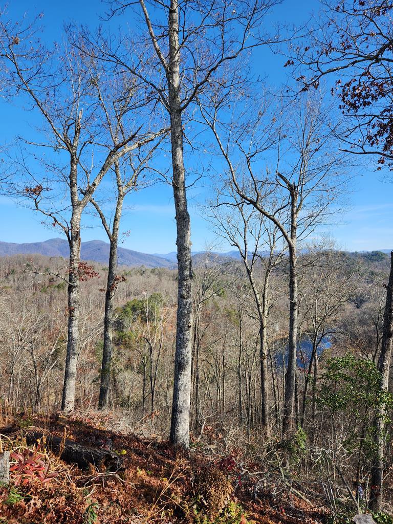 Lake Luftee view from lot