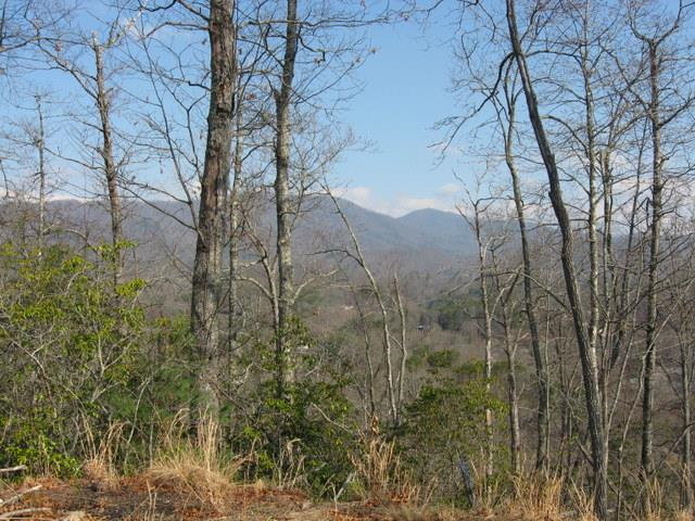 Facing North from the lot 