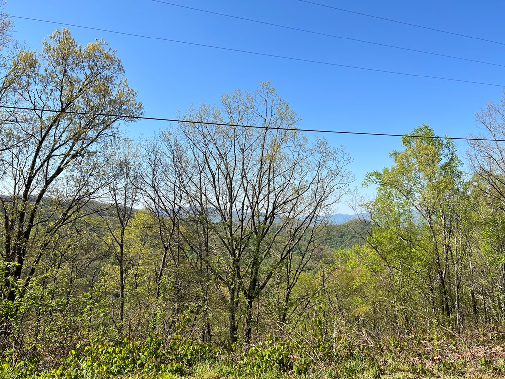 View from the road below the power lines. 