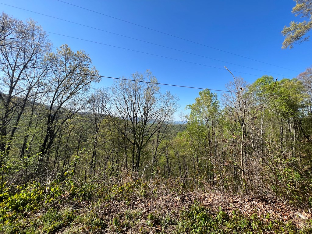 View from the road below the power lines. 