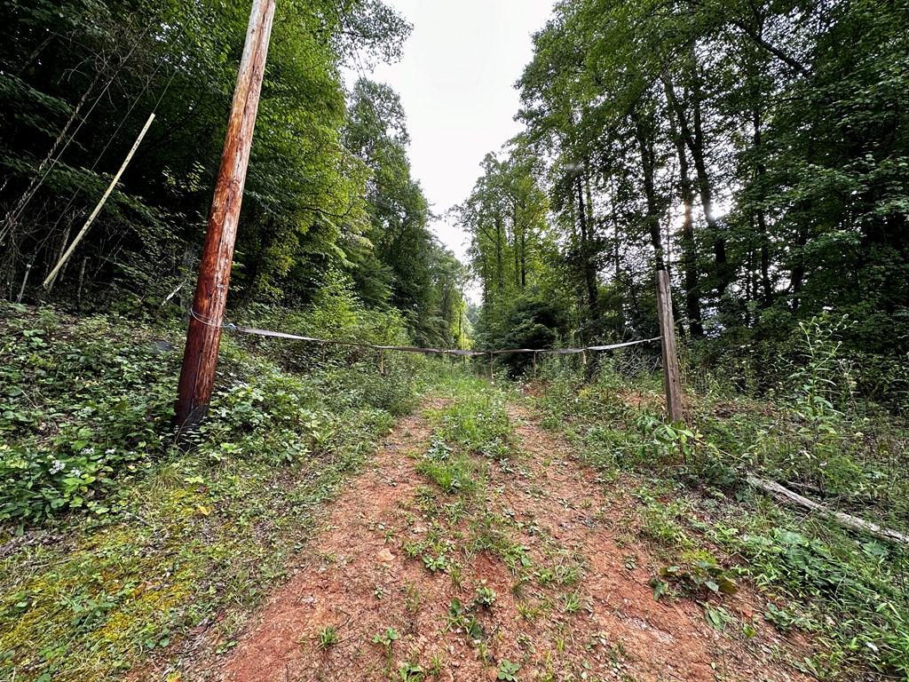 Entrance to property