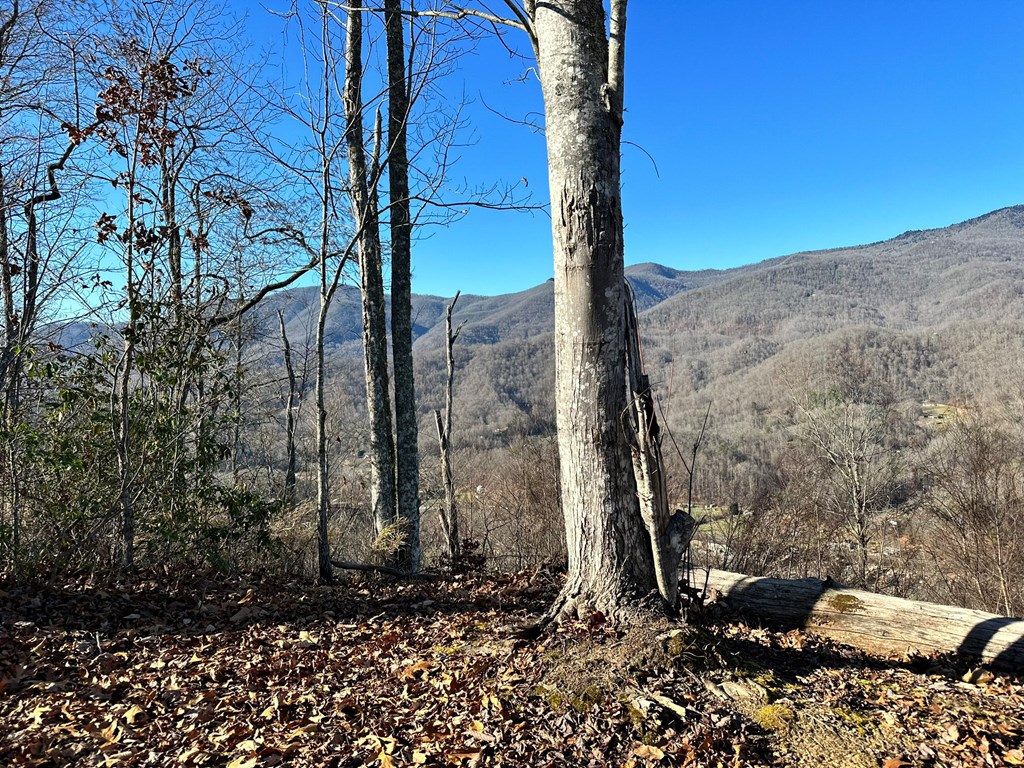 View from the ridge top of the property