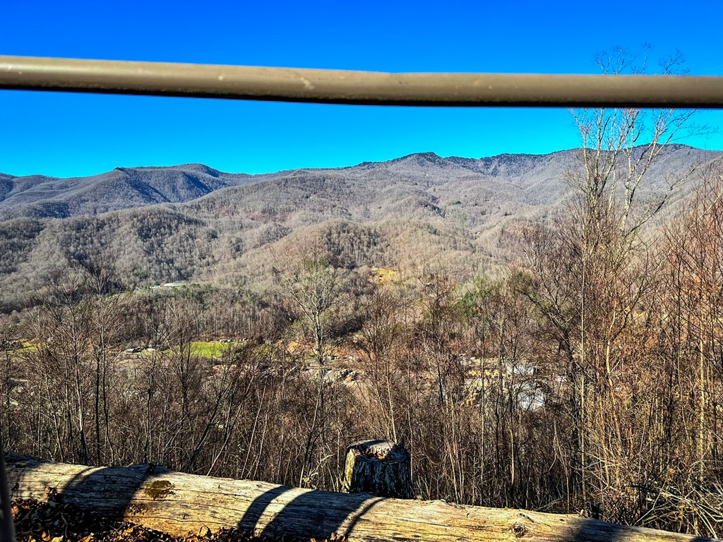 View from the ridge top of the property