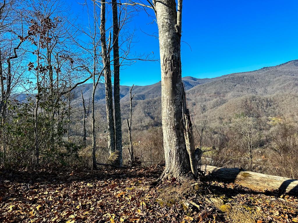 View from the ridge top of the property