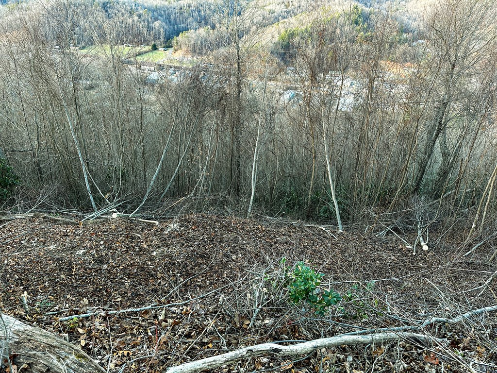 View from the ridge top of the property