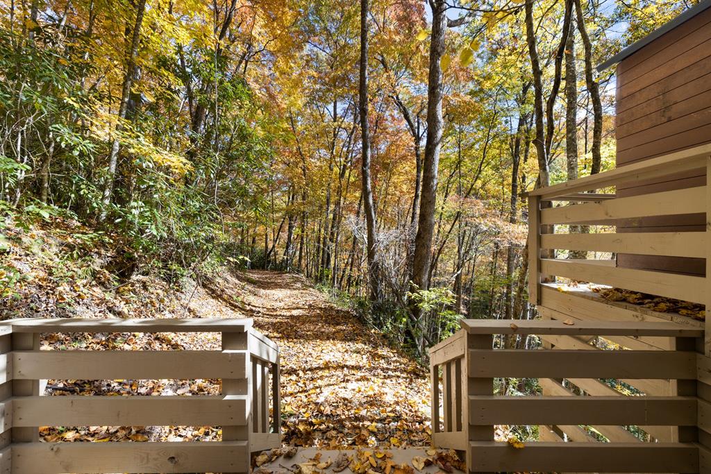 Cabin #2 path to trails and cabin #1