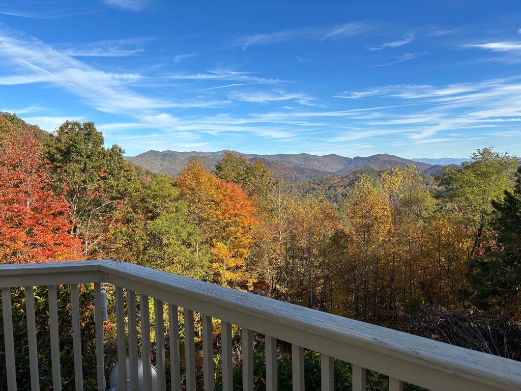 Panoramic view from deck