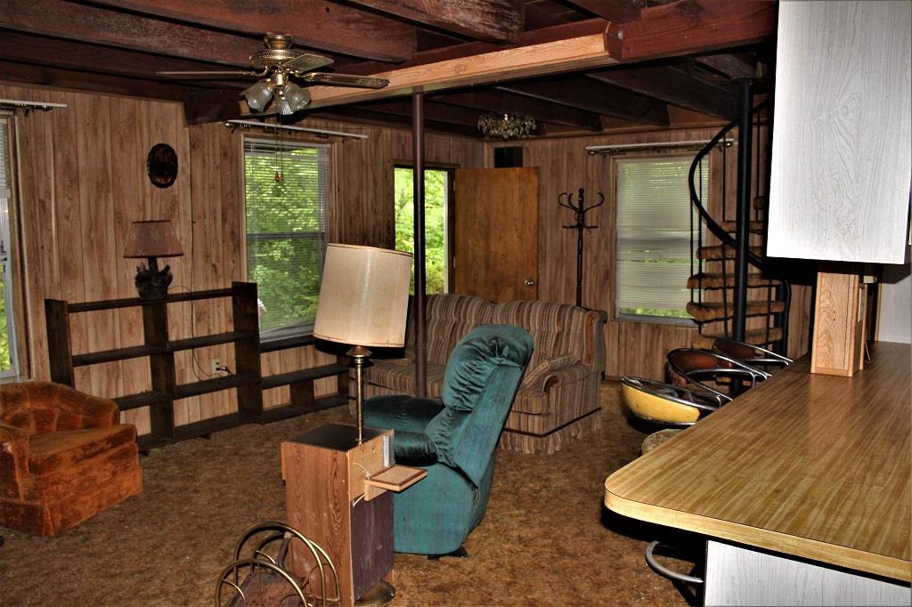 Big Cabin - Living Room