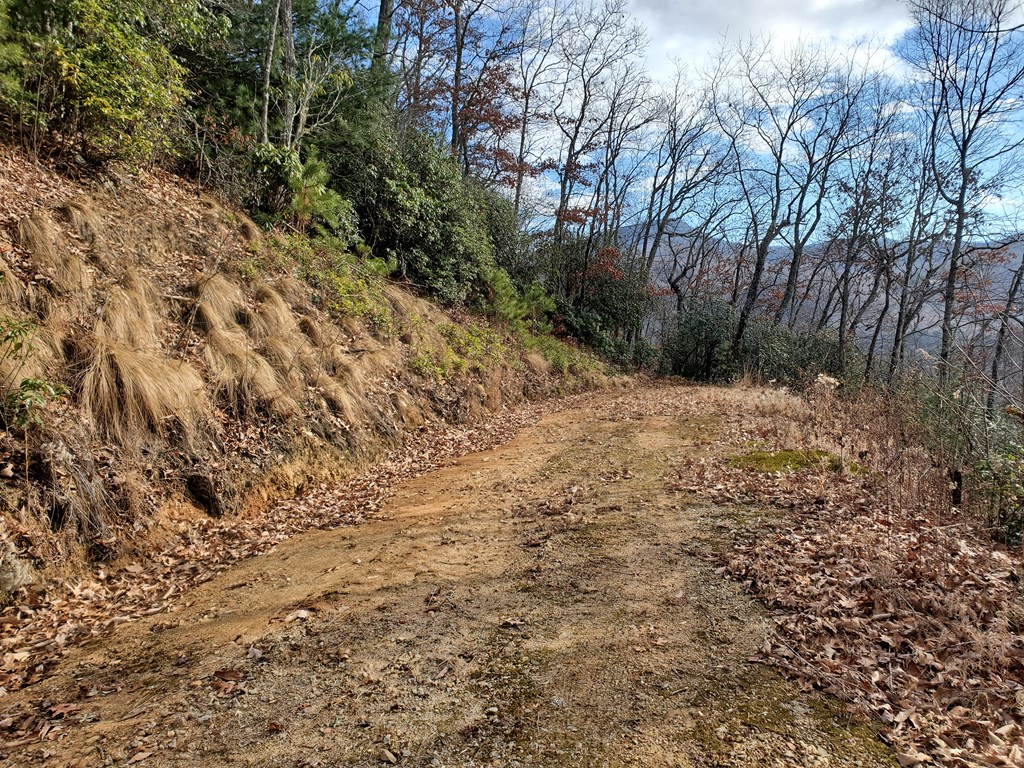 Driveway to Partial Building Site