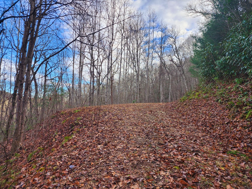 Approaching house site