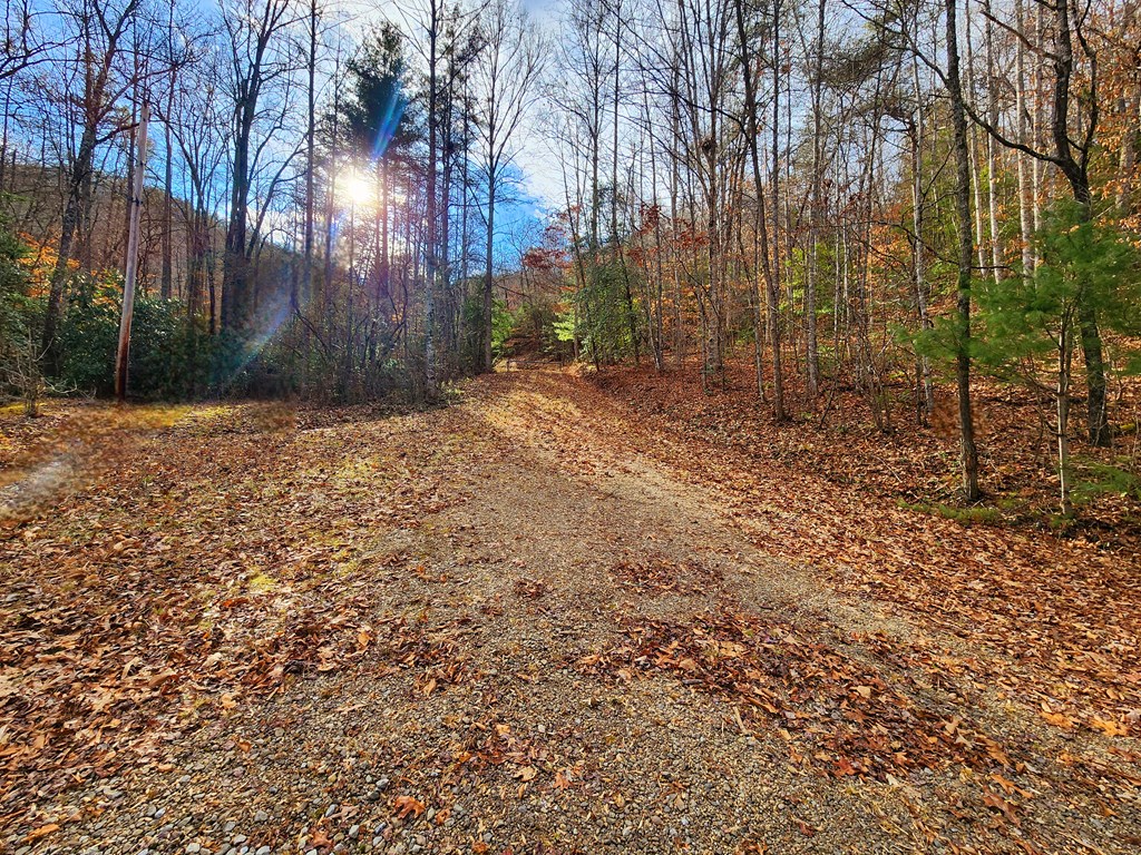 Driveway access off level gravel road