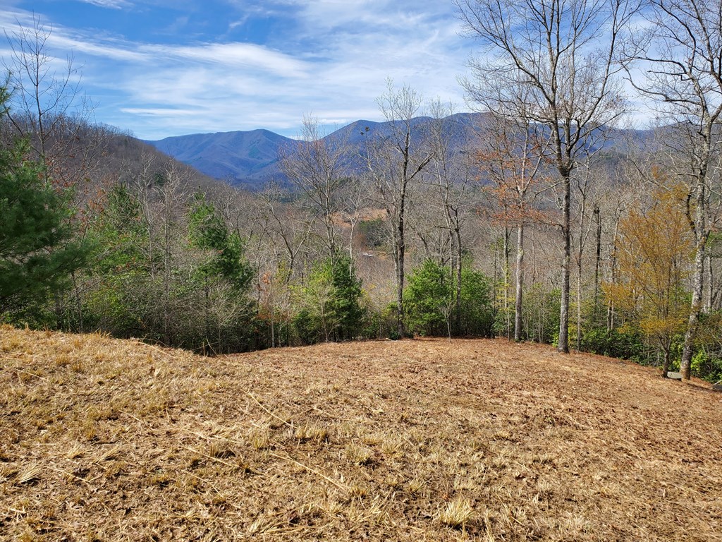 Building Site w/Mountain Views