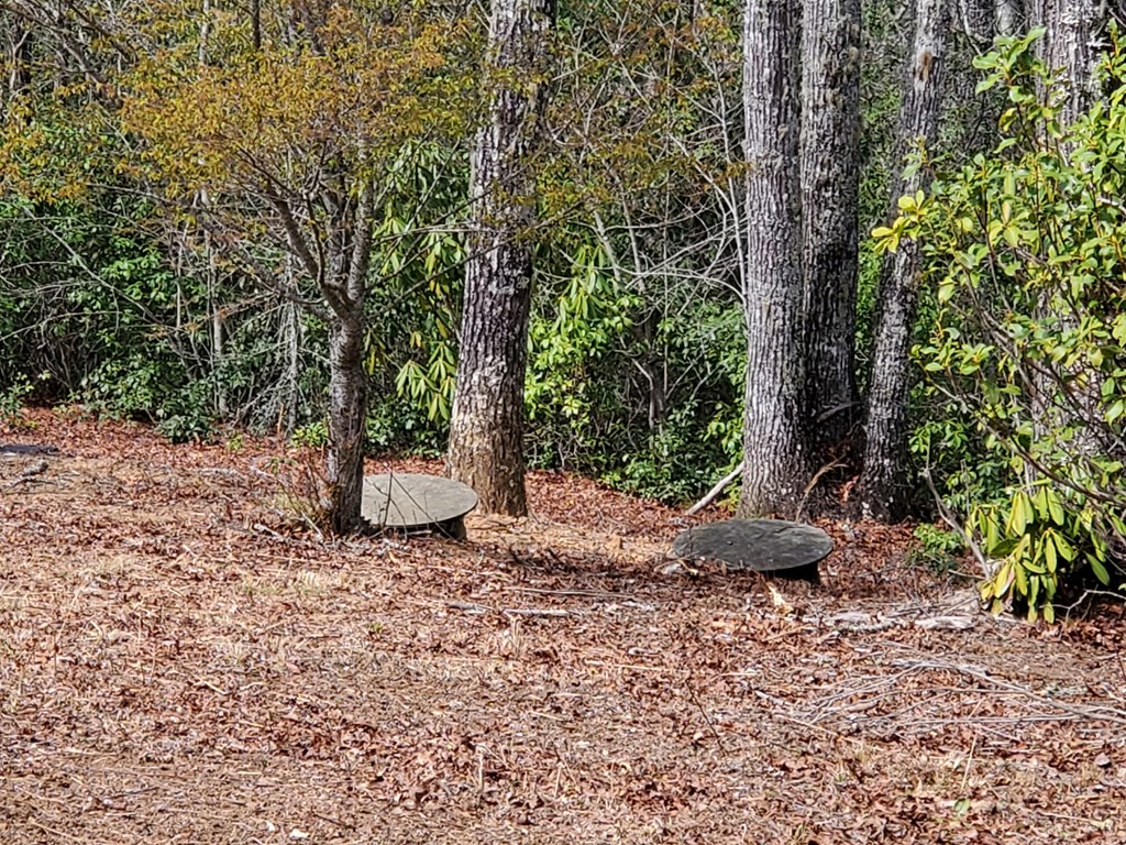 Septic System installed