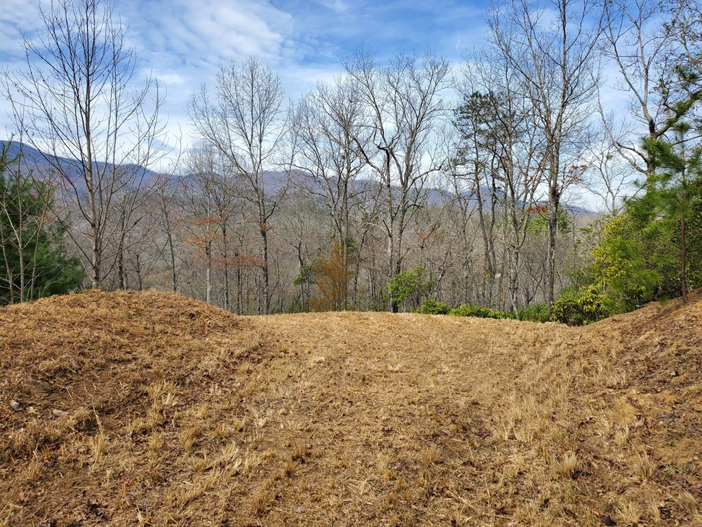 Driveway to Building Site