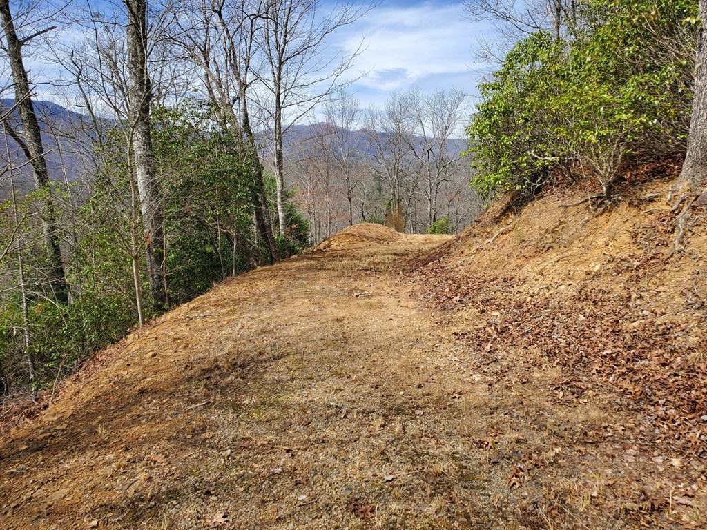 Hard Packed Driveway 