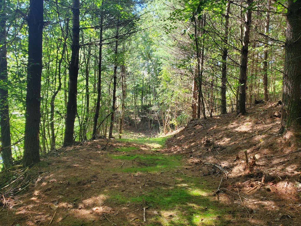 Access road into property