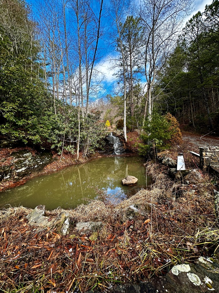 Pond and waterfall at the entrance