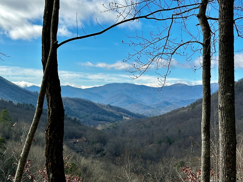 Fantastic View from the community viewing deck!