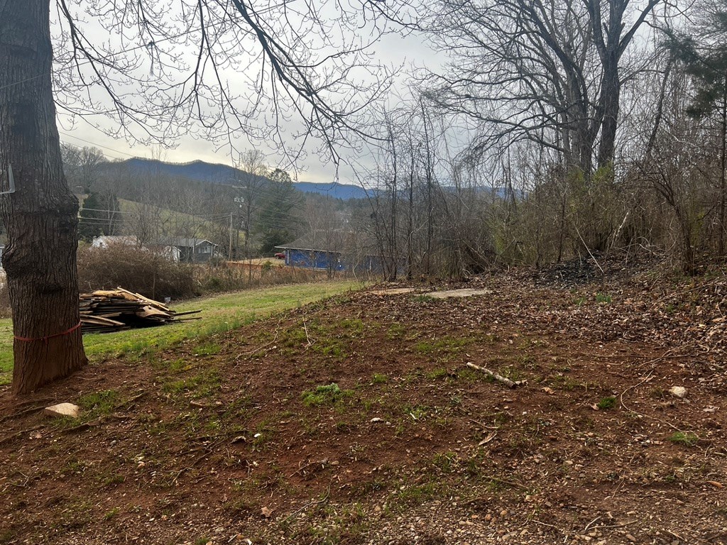 View of Commercial Lot from Residential Lot