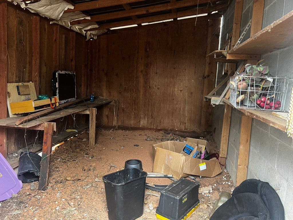 Inside of Shed / Outbuilding