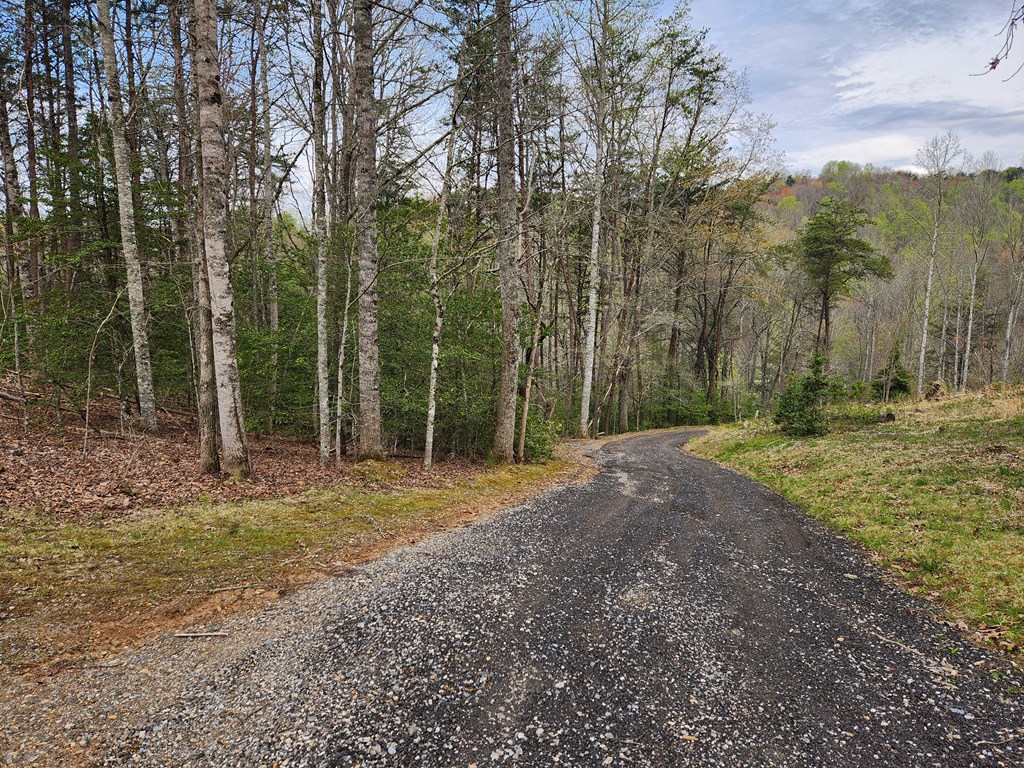 Solid gravel road driveway, shared with neighbor