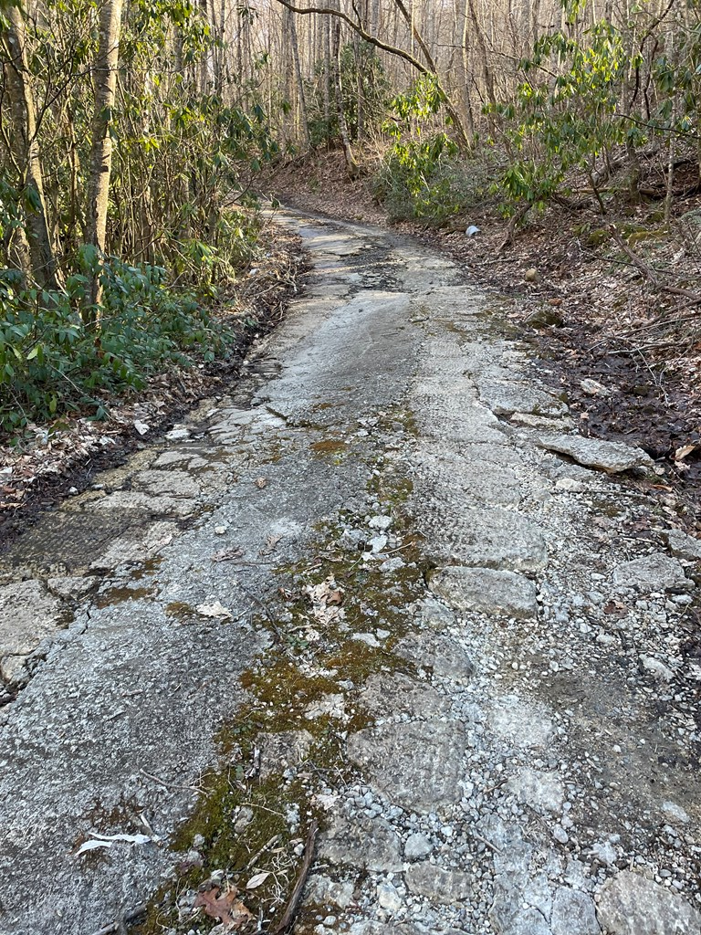 Old cement shared driveway