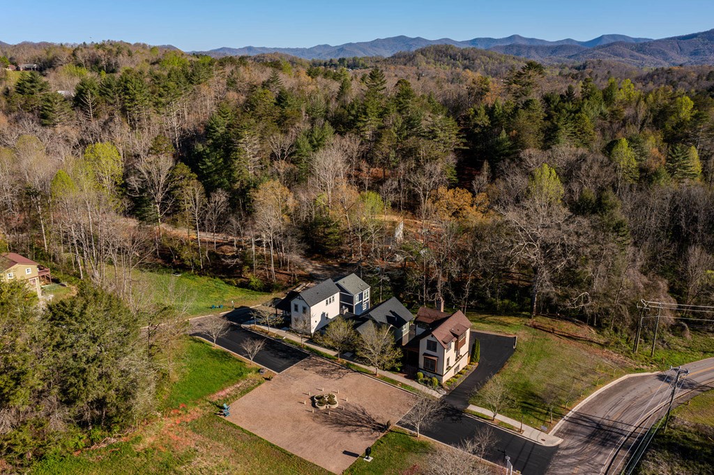 Aerial view of the Village Center