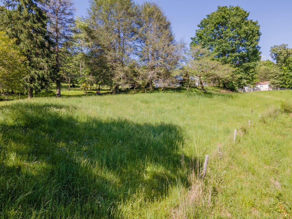 Fenced Pasture