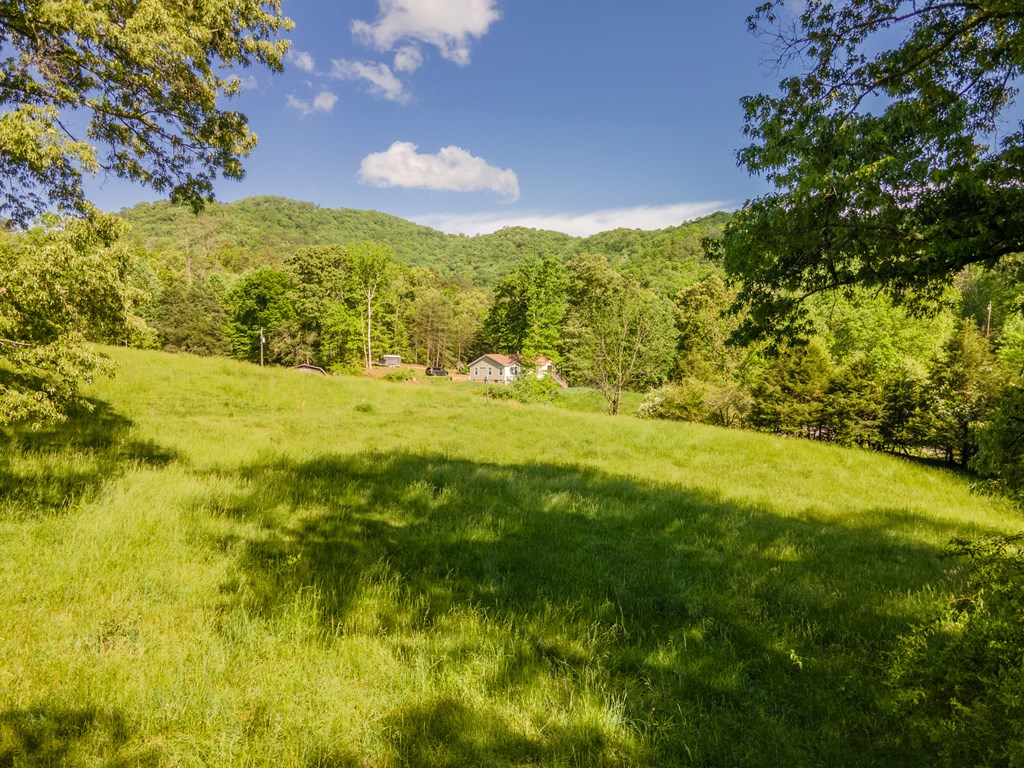 Some Fenced Pasture