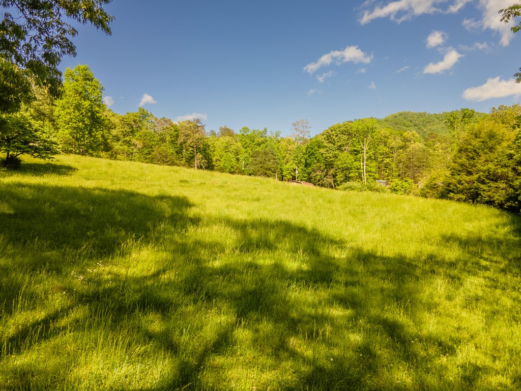 Gorgoues Pastureland