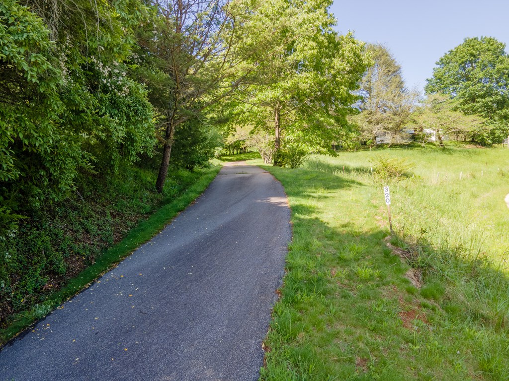 Beginning of Driveway