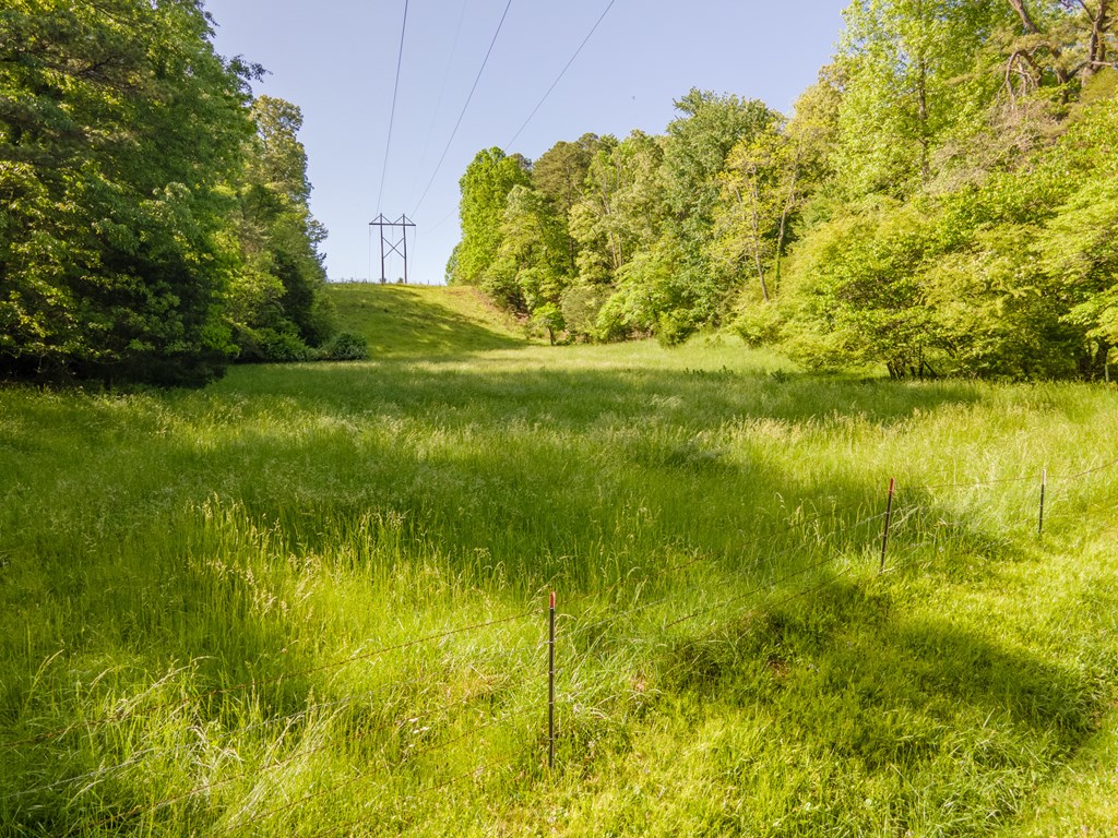 Fenced Pasture