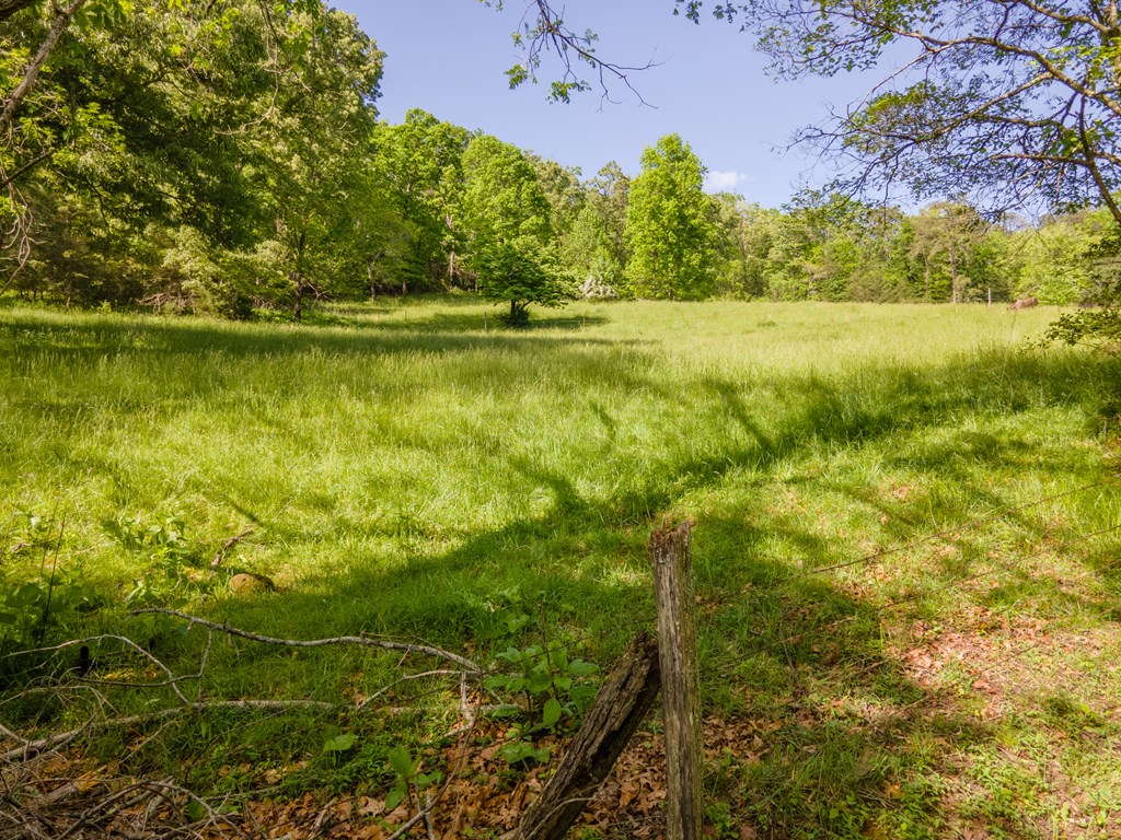 Beautiful Pastureland