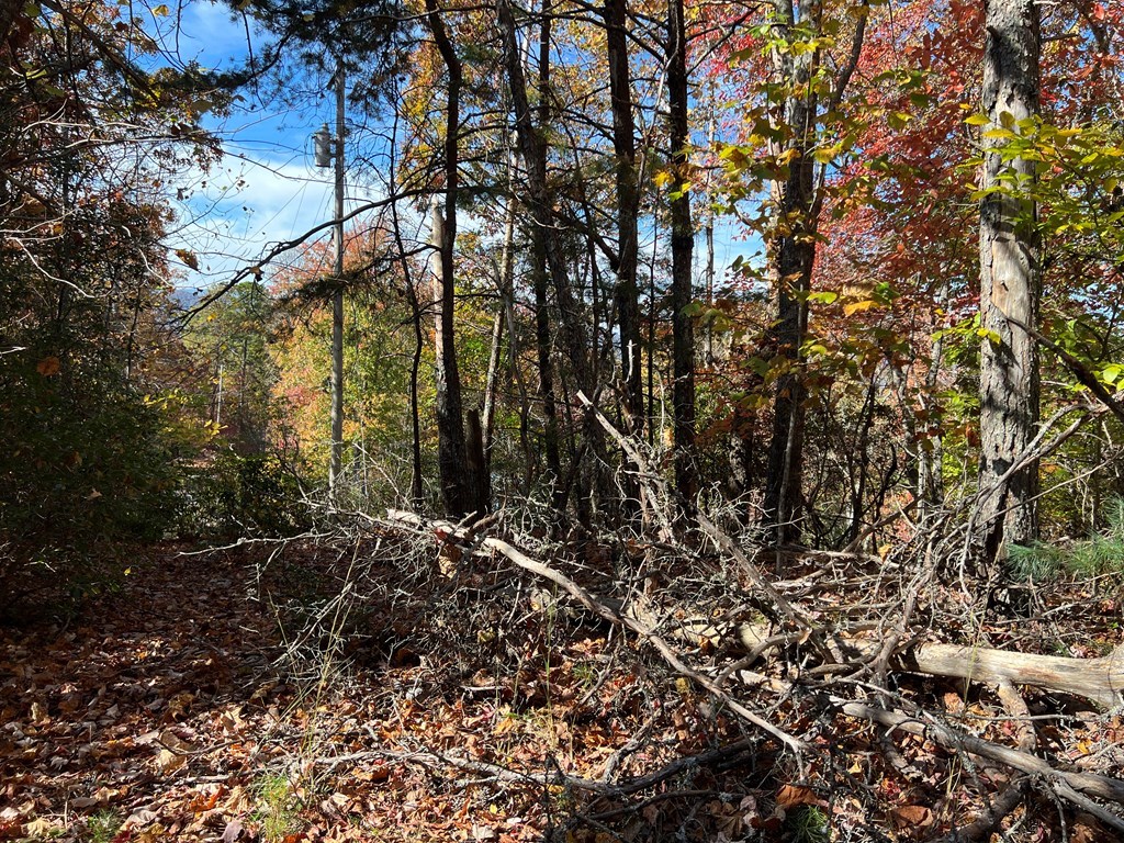 Possible MTN view w/ trimming 