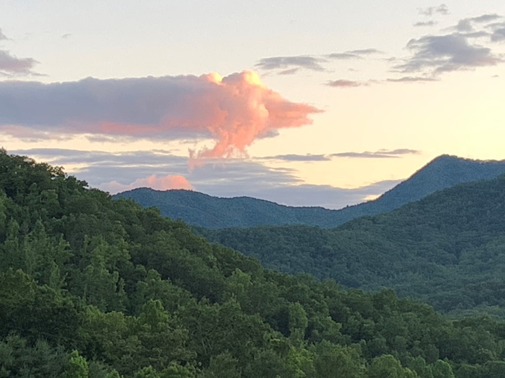 Front Porch View