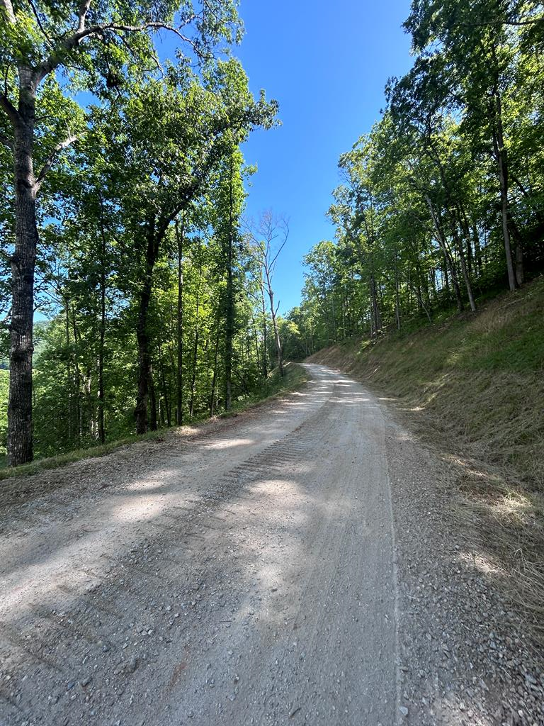 Kimberly Lane, Leading into Development