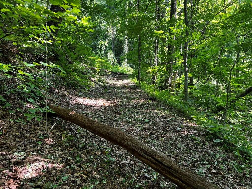 View back where you walked from