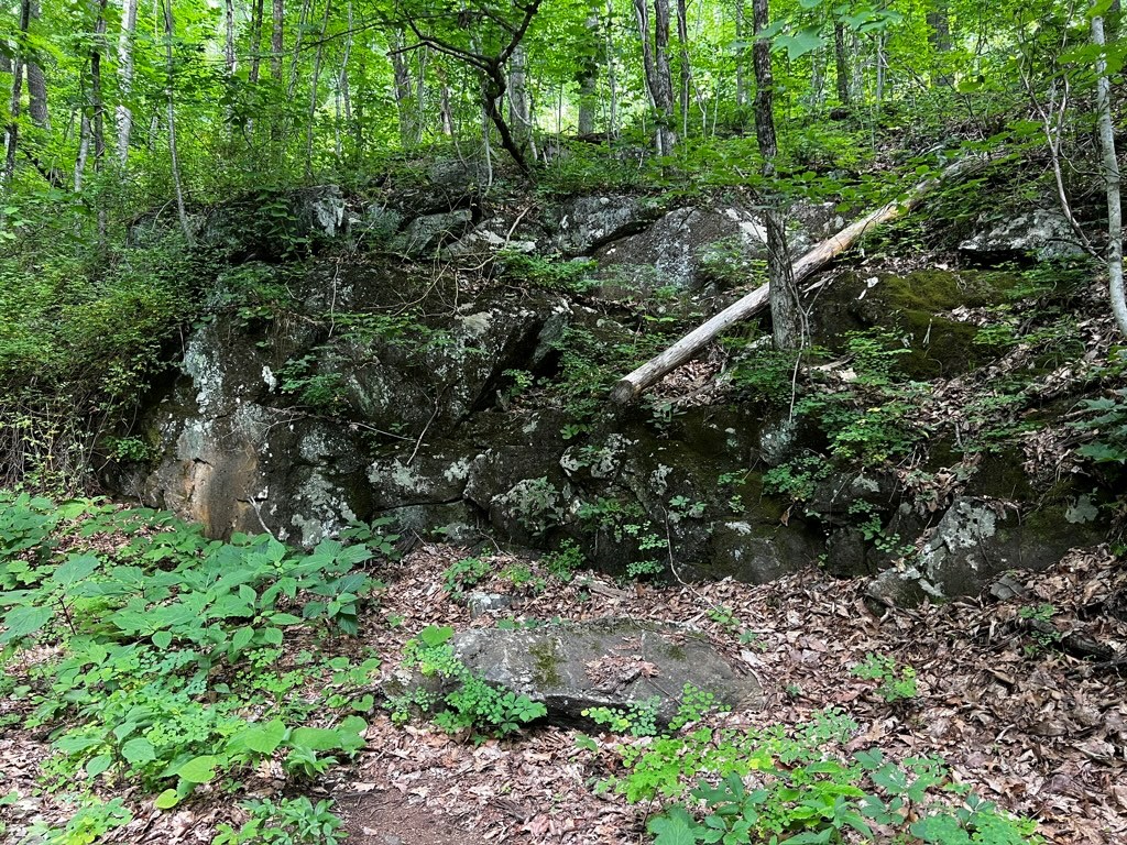 Path behind container