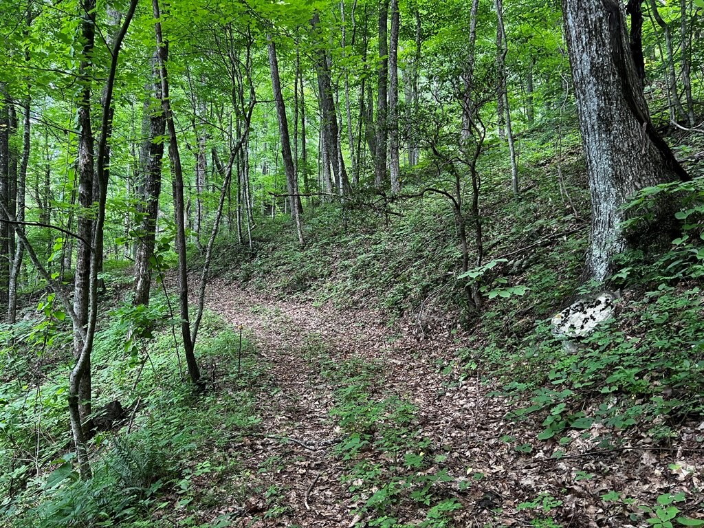 Path behind container