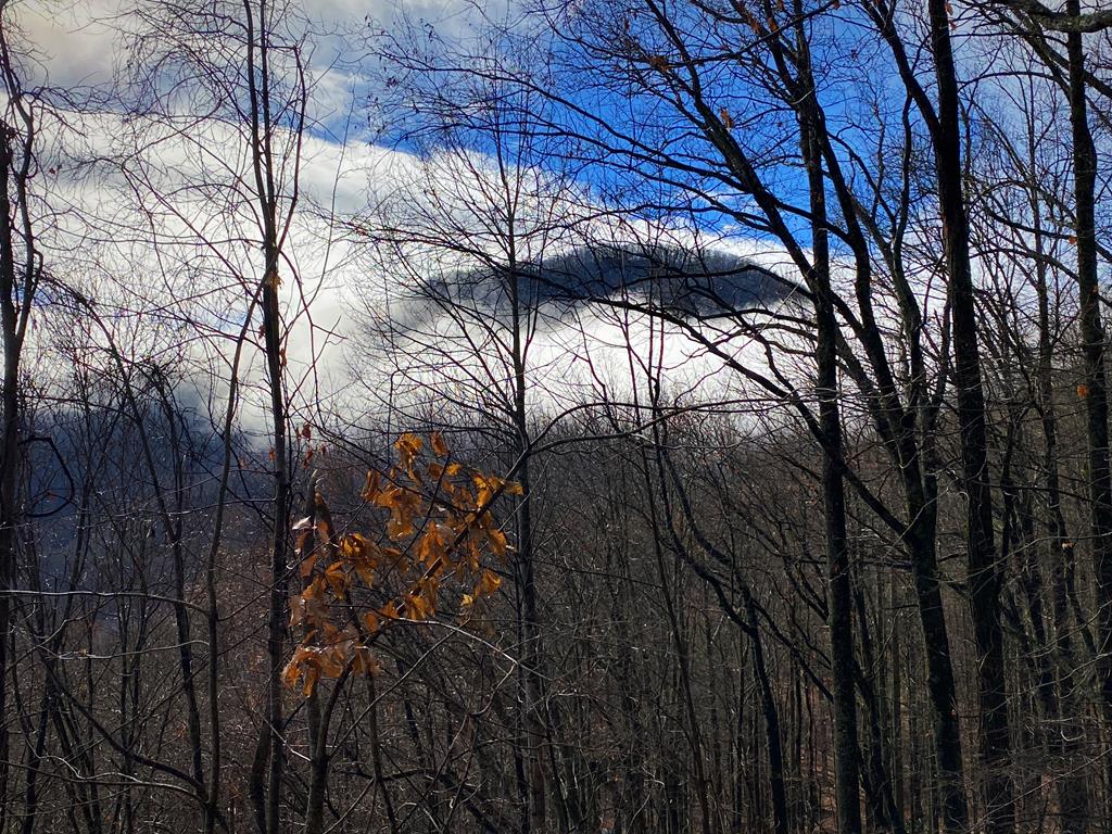 Winter View of Runaway Knob