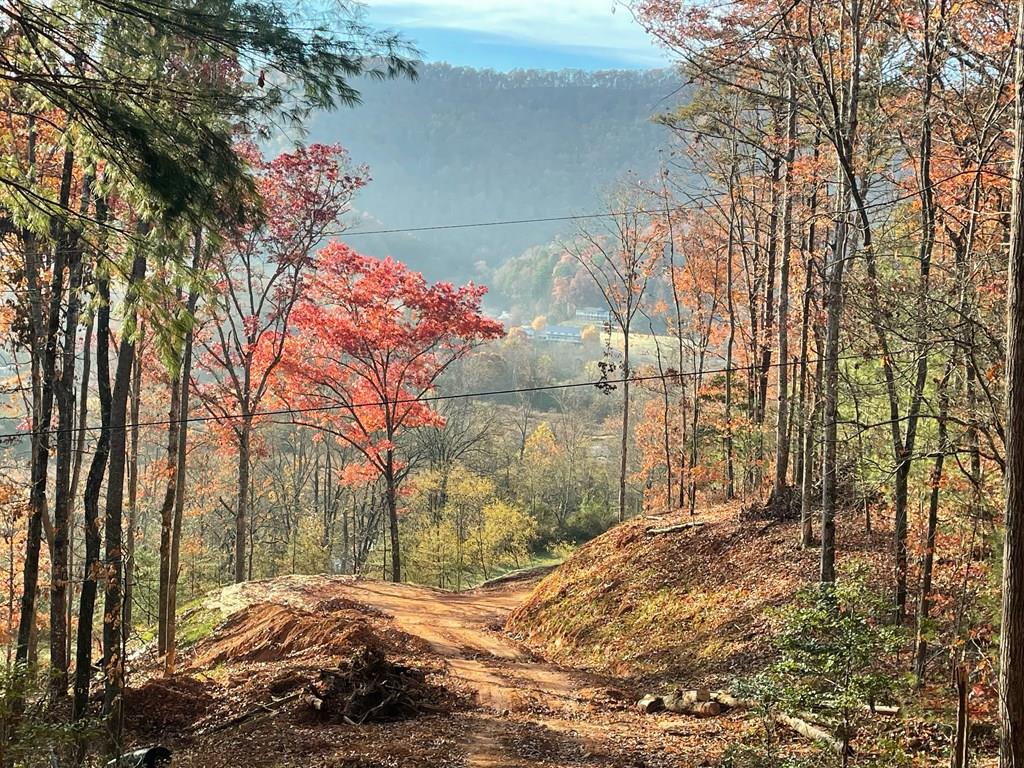 Fall at the top of the development