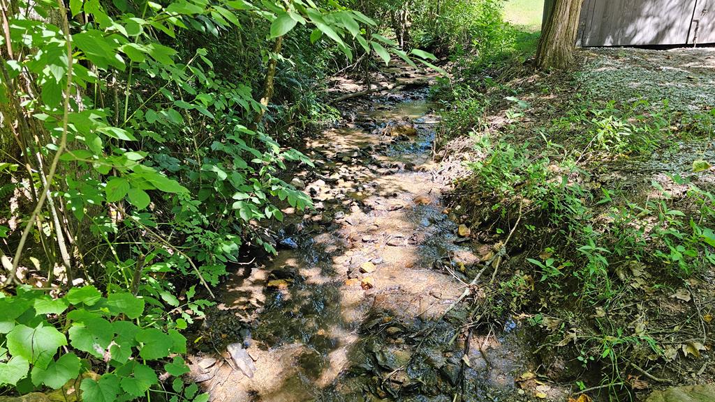 Stream bordering the property