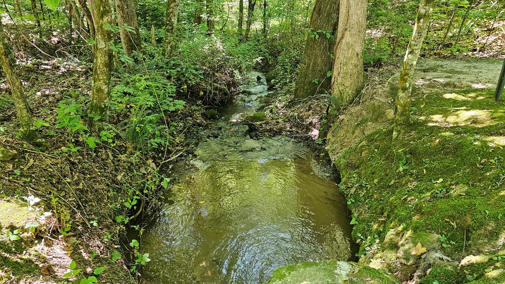 Stream bordering the property