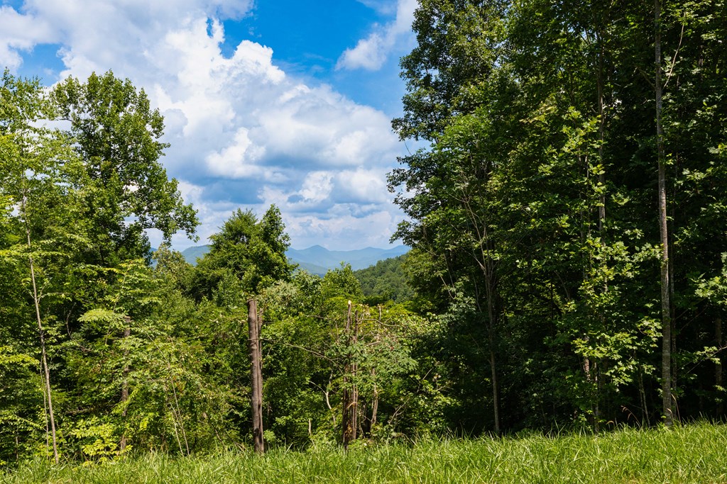 Mountain View from Porch